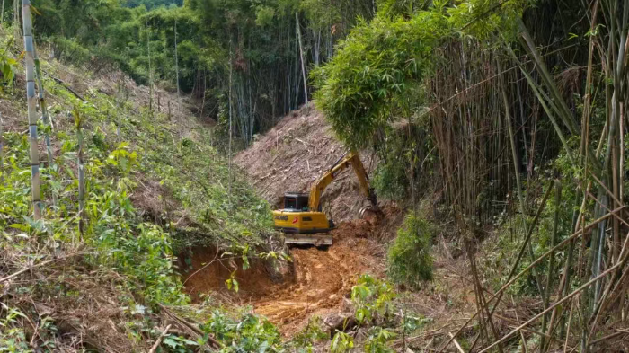 林间“藏龙”，竹海“卧虎”——开云线上登录林业挖机广西侠客行
